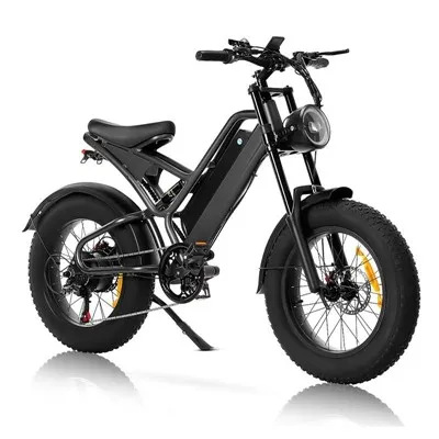 Cesta Ebikes